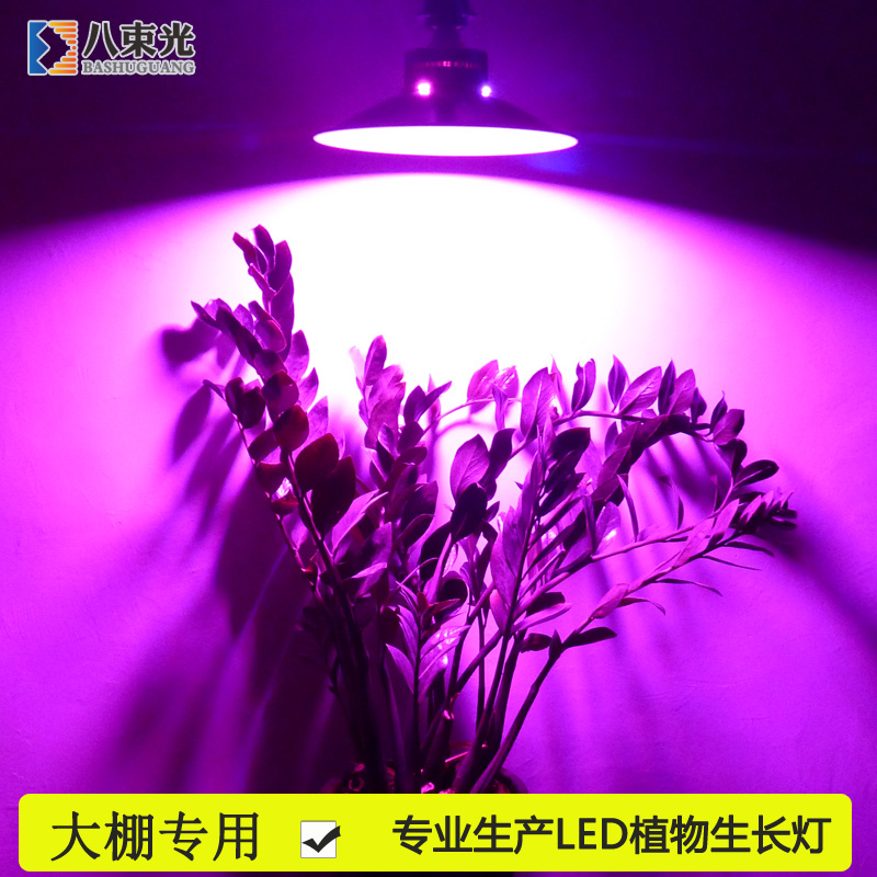 led植物生長燈多肉植物全光譜室內大棚補光燈蘭花蔬果光合作用燈