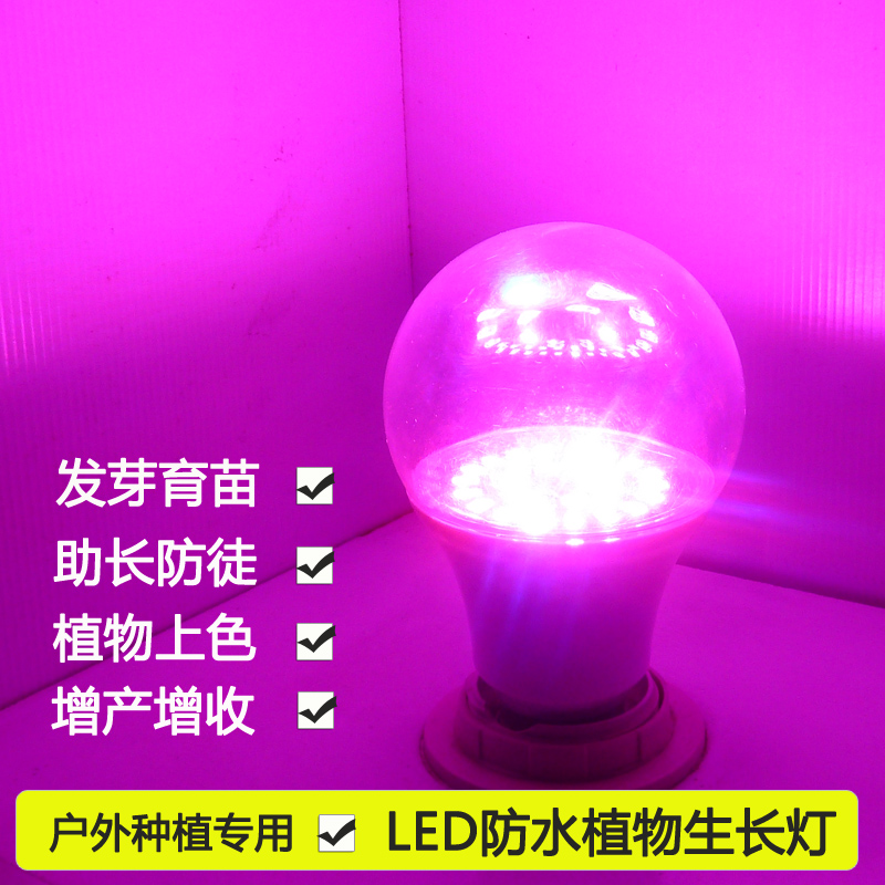 led植物生長燈防水透明罩火龍果菊花綠蘿多肉植物補光燈種植燈泡