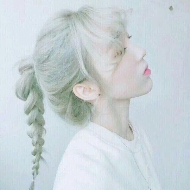 白茶貓