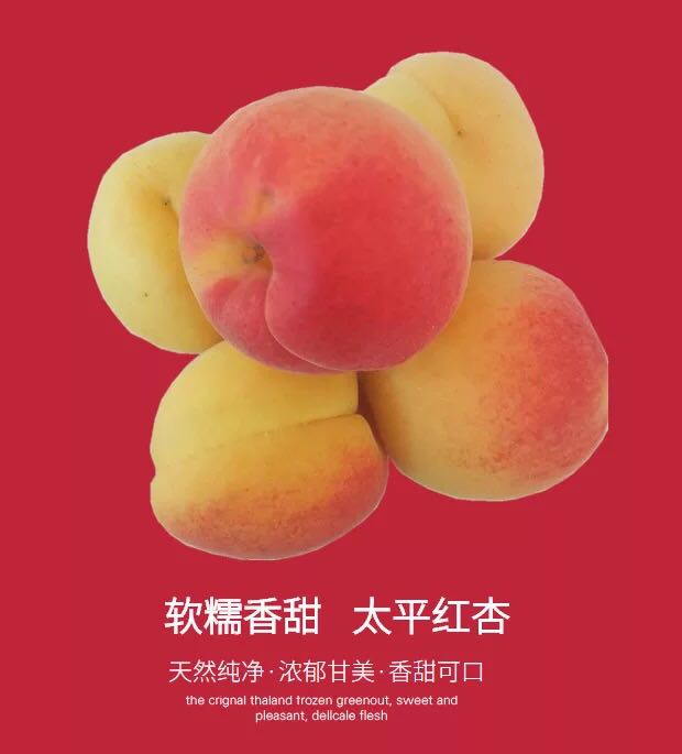 陜西大荔太平大紅杏