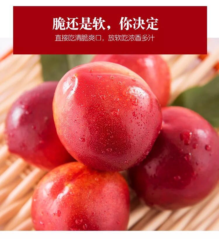 老陜油桃