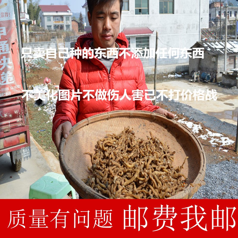 多年純野生玉竹 天然無硫玉竹條250g 高山原生態野生玉竹 有麥冬