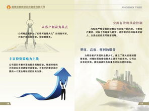福建省梧桐樹投資管理圖冊